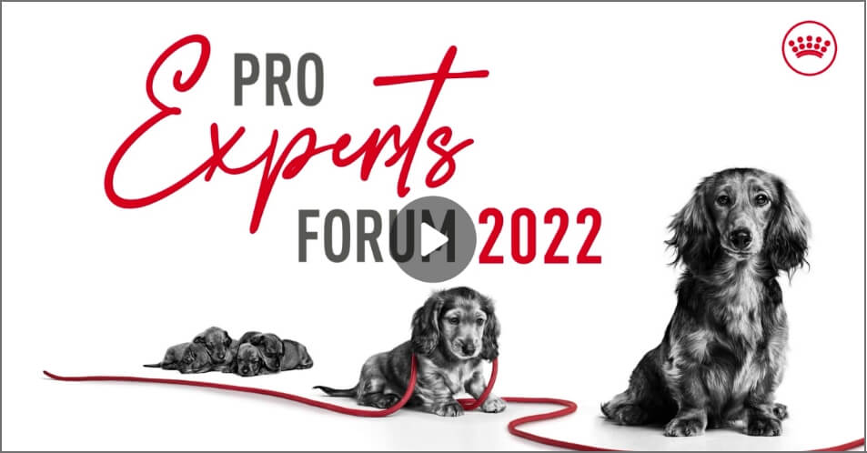 Watch the Pro Experts Forum Video 2022