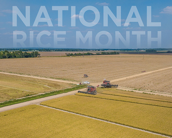 National Rice Month